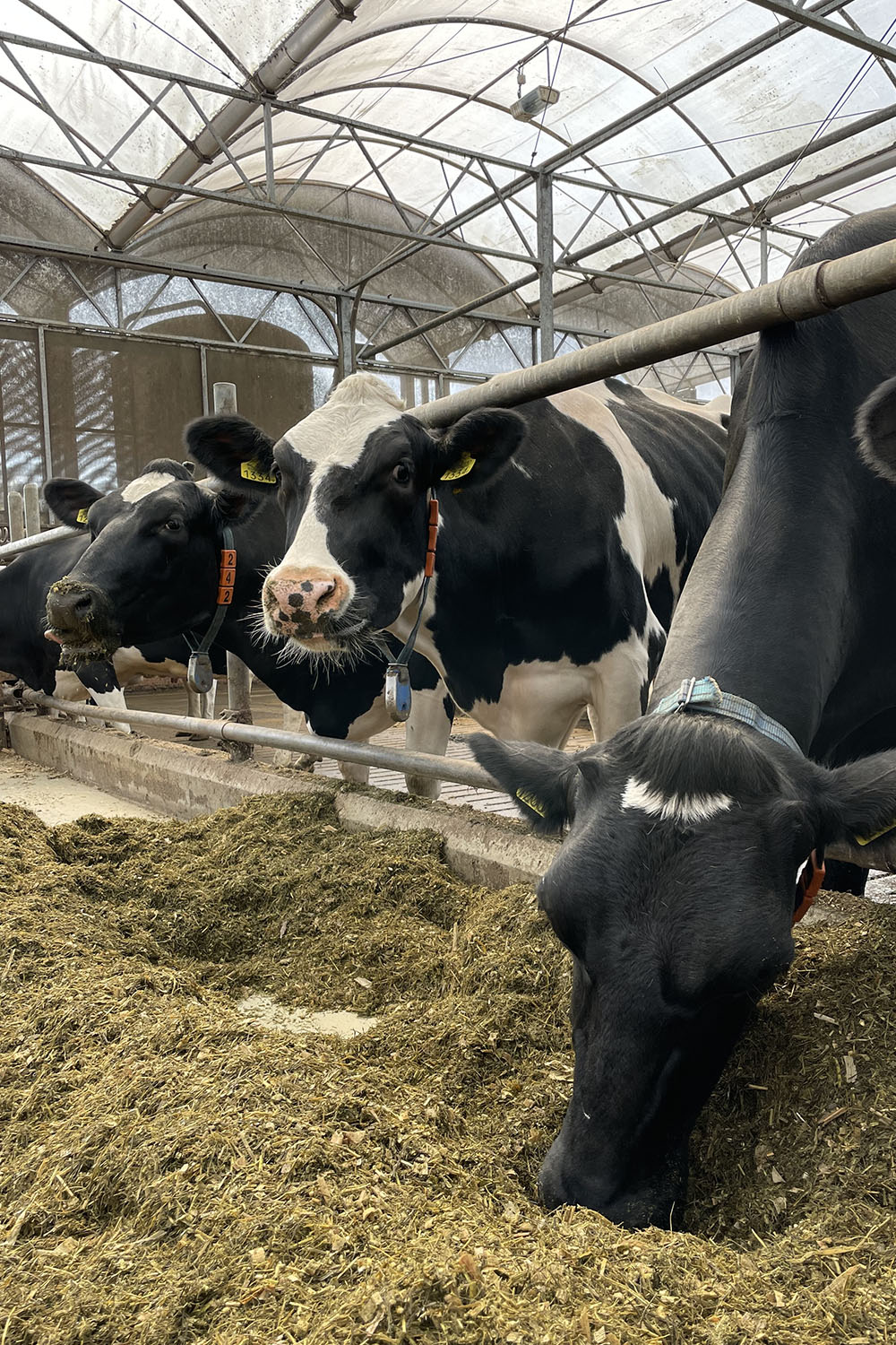 A blacksmith hardens steel at high temperature in a homemade furnace in the village.