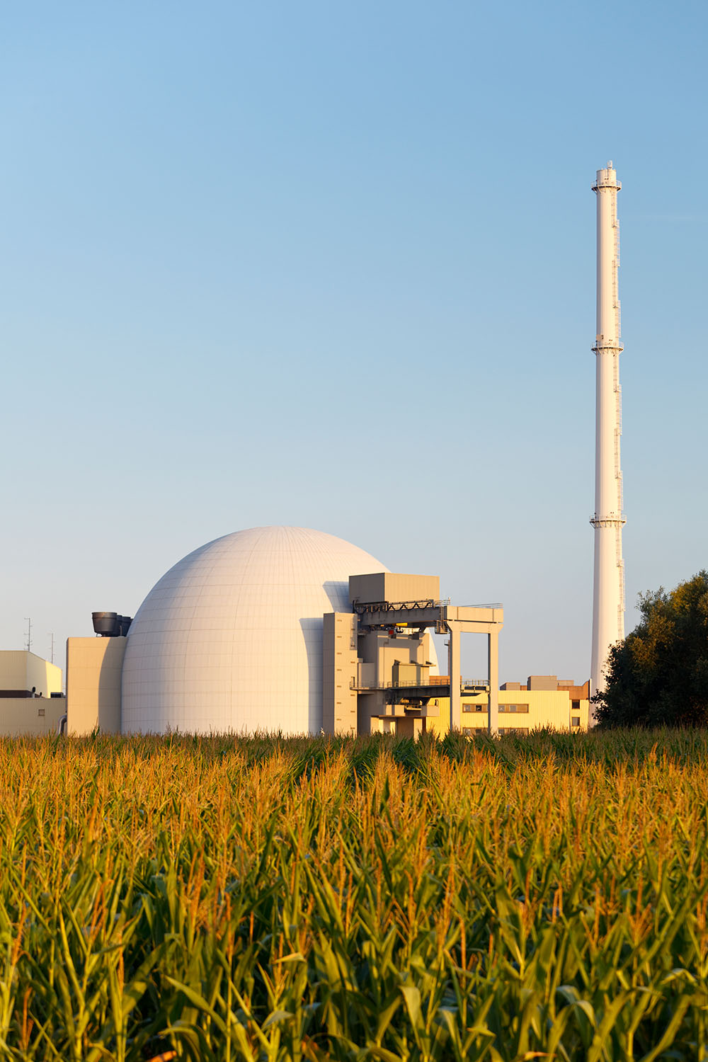 A blacksmith hardens steel at high temperature in a homemade furnace in the village.